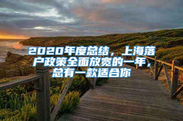 2020年度总结，上海落户政策全面放宽的一年，总有一款适合你