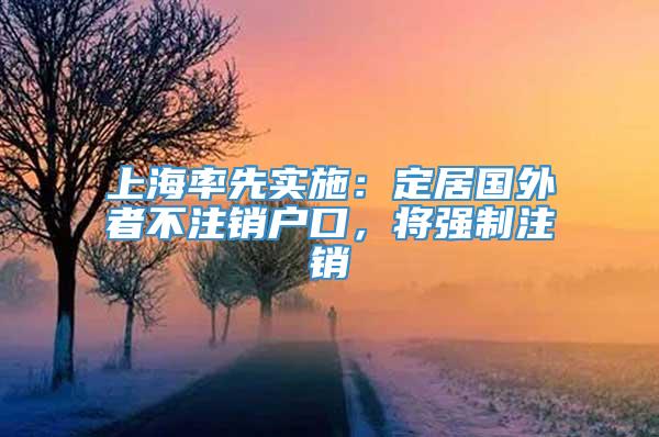 上海率先实施：定居国外者不注销户口，将强制注销