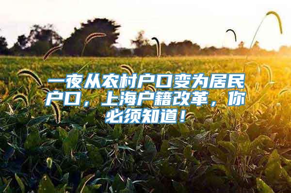 一夜从农村户口变为居民户口，上海户籍改革，你必须知道！