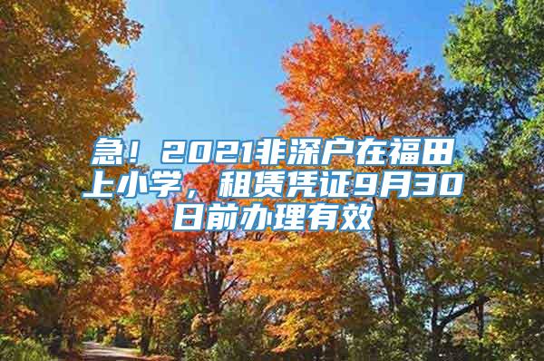 急！2021非深户在福田上小学，租赁凭证9月30日前办理有效