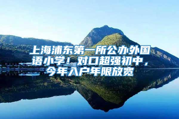 上海浦东第一所公办外国语小学！对口超强初中，今年入户年限放宽