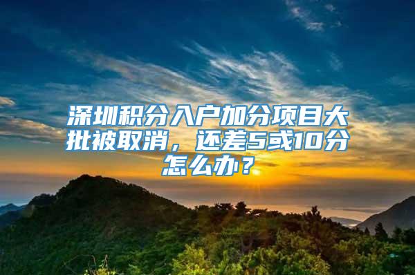 深圳积分入户加分项目大批被取消，还差5或10分怎么办？