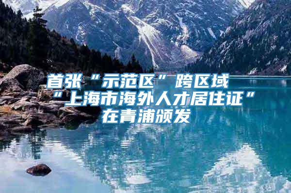 首张“示范区”跨区域“上海市海外人才居住证”在青浦颁发