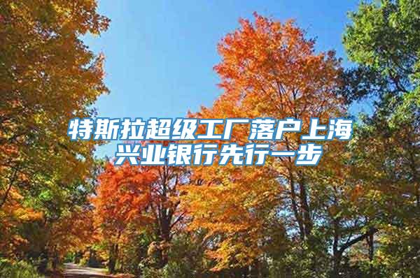 特斯拉超级工厂落户上海 兴业银行先行一步