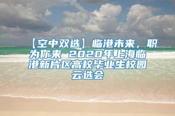 【空中双选】临港未来，职为你来 2020年上海临港新片区高校毕业生校园云选会