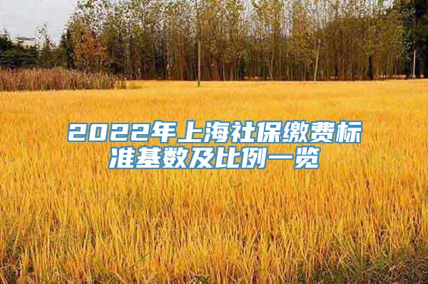 2022年上海社保缴费标准基数及比例一览