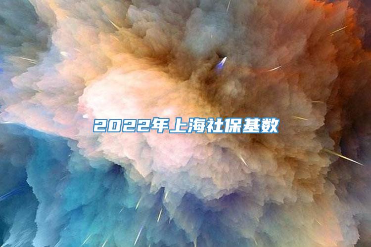 2022年上海社保基数