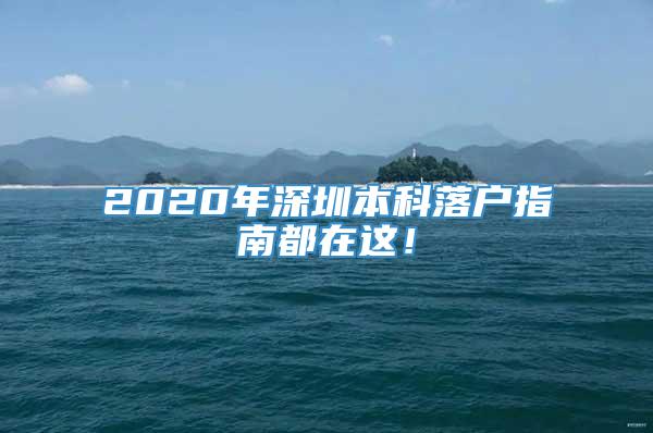 2020年深圳本科落户指南都在这！