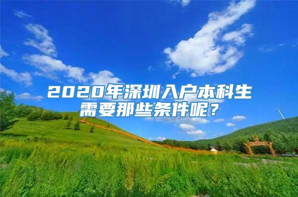 2020年深圳入户本科生需要那些条件呢？