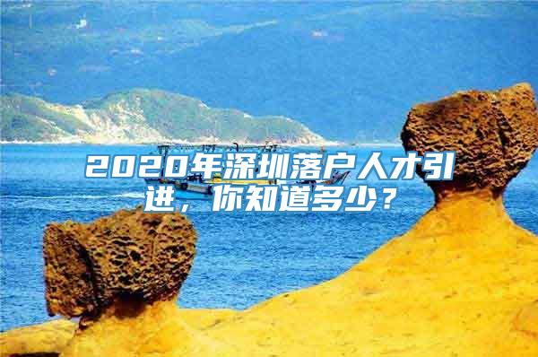 2020年深圳落户人才引进，你知道多少？