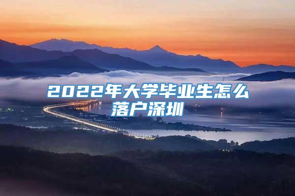 2022年大学毕业生怎么落户深圳