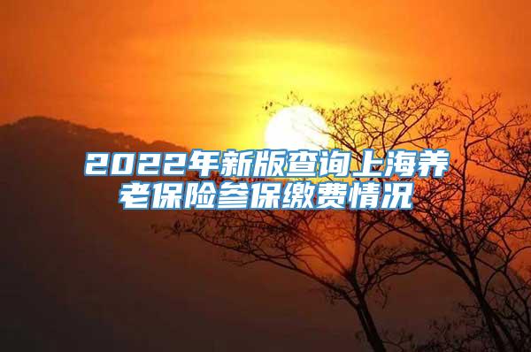 2022年新版查询上海养老保险参保缴费情况