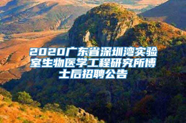 2020广东省深圳湾实验室生物医学工程研究所博士后招聘公告
