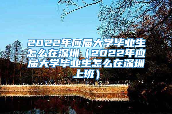 2022年应届大学毕业生怎么在深圳（2022年应届大学毕业生怎么在深圳上班）