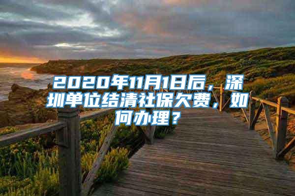 2020年11月1日后，深圳单位结清社保欠费，如何办理？