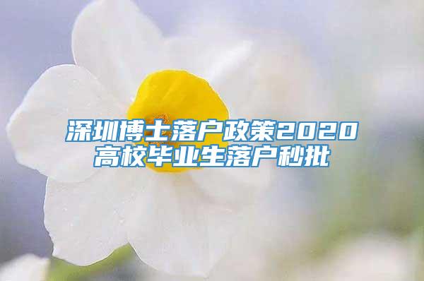深圳博士落户政策2020高校毕业生落户秒批