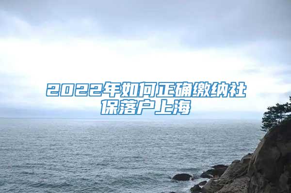 2022年如何正确缴纳社保落户上海