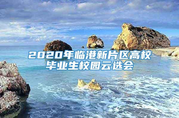 2020年临港新片区高校毕业生校园云选会