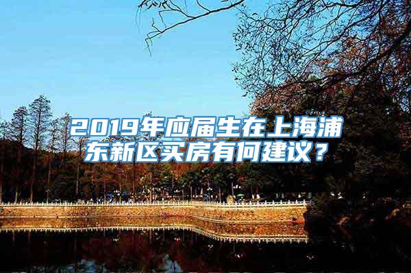 2019年应届生在上海浦东新区买房有何建议？