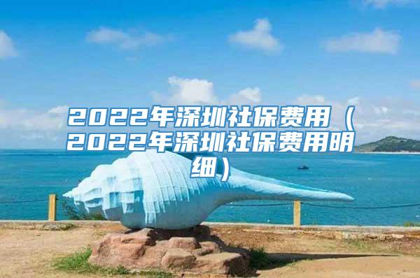 2022年深圳社保费用（2022年深圳社保费用明细）