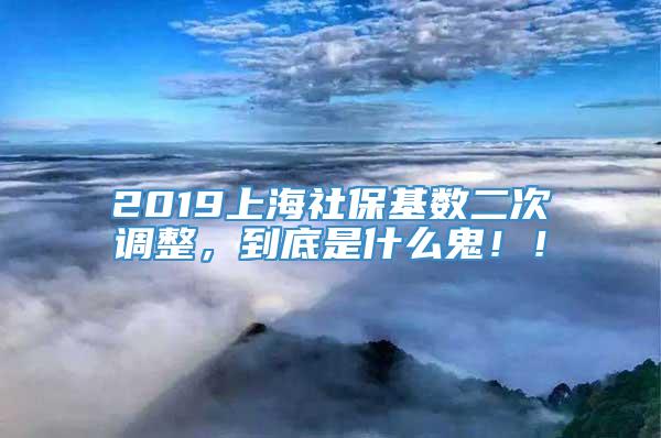 2019上海社保基数二次调整，到底是什么鬼！！