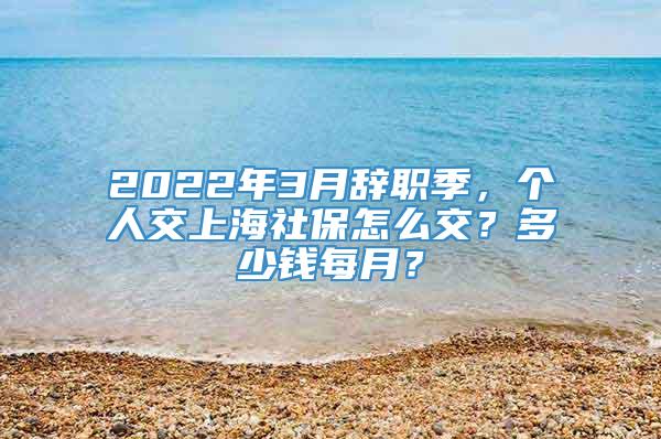 2022年3月辞职季，个人交上海社保怎么交？多少钱每月？
