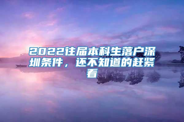 2022往届本科生落户深圳条件，还不知道的赶紧看
