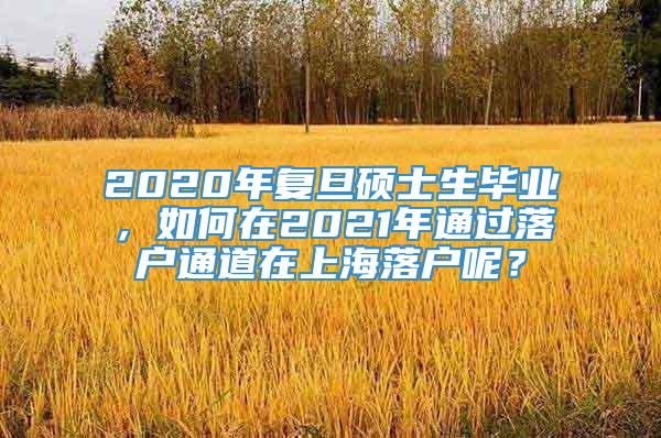 2020年复旦硕士生毕业，如何在2021年通过落户通道在上海落户呢？