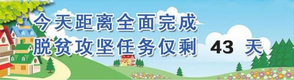 94名！庆阳市2021年度市直学校引进高层次急需紧缺人才公告
