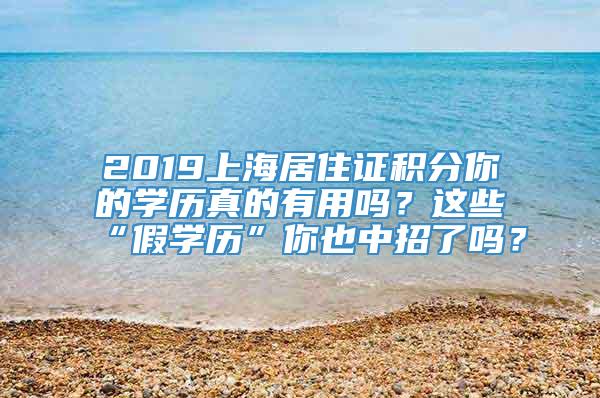 2019上海居住证积分你的学历真的有用吗？这些“假学历”你也中招了吗？