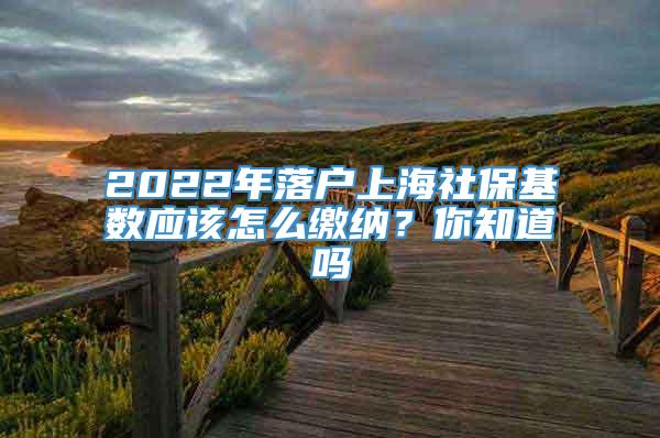 2022年落户上海社保基数应该怎么缴纳？你知道吗