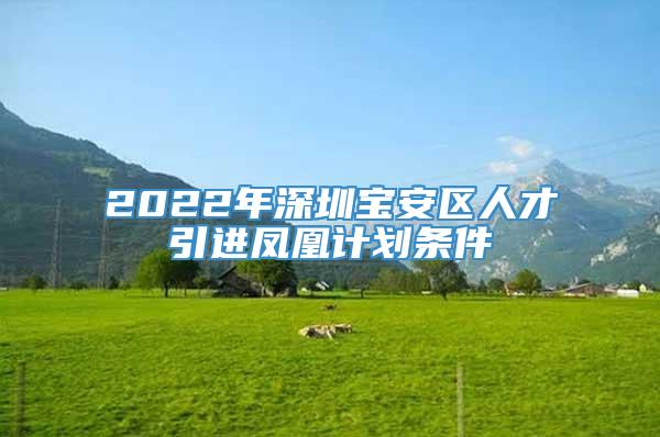 2022年深圳宝安区人才引进凤凰计划条件