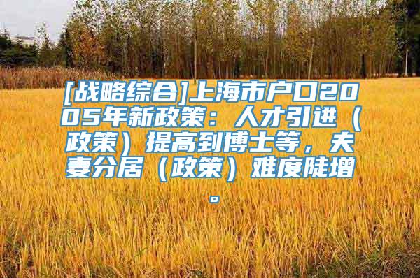 [战略综合]上海市户口2005年新政策：人才引进（政策）提高到博士等，夫妻分居（政策）难度陡增。