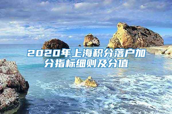 2020年上海积分落户加分指标细则及分值