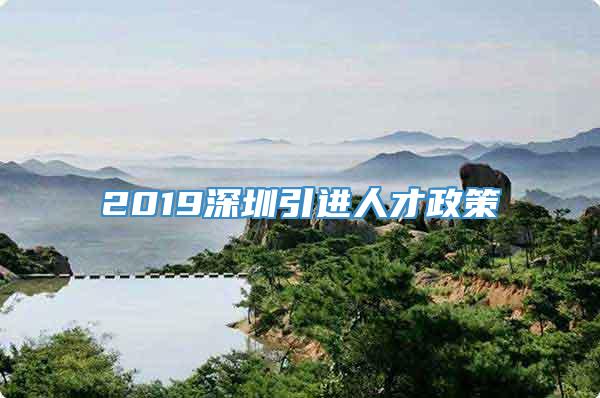 2019深圳引进人才政策