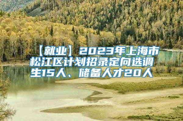 【就业】2023年上海市松江区计划招录定向选调生15人、储备人才20人