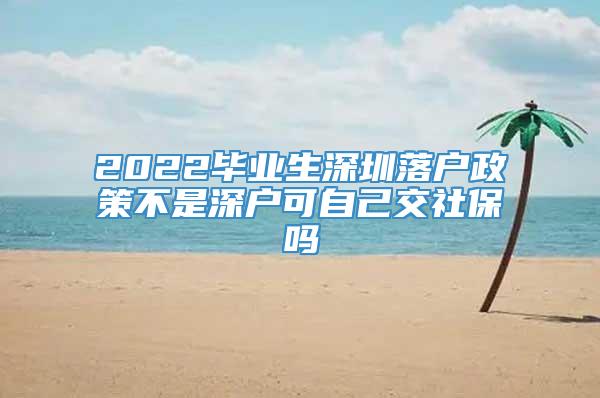 2022毕业生深圳落户政策不是深户可自己交社保吗