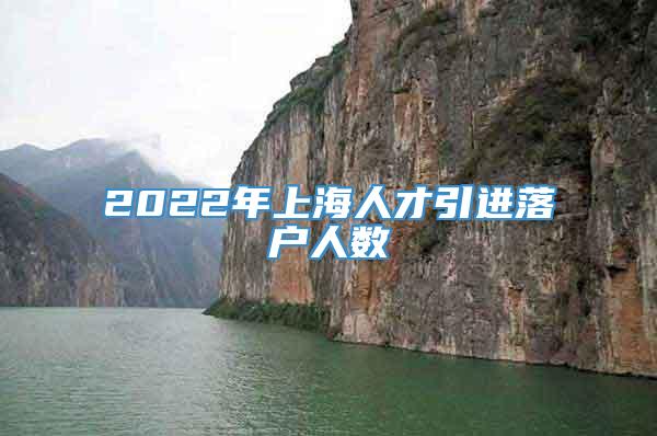 2022年上海人才引进落户人数