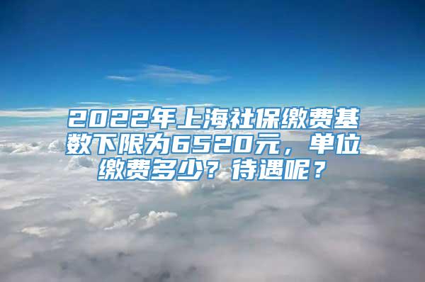 2022年上海社保缴费基数下限为6520元，单位缴费多少？待遇呢？