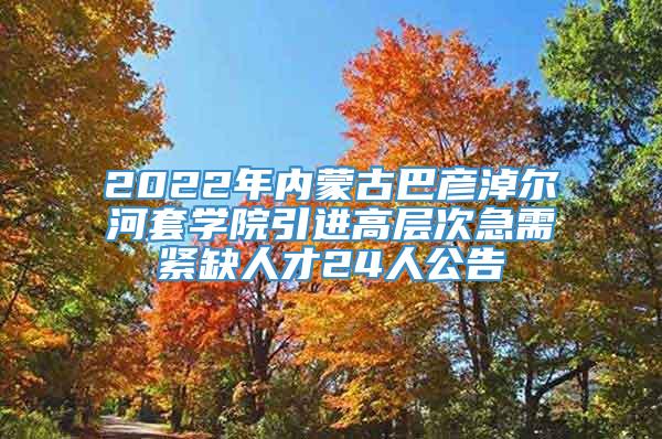 2022年内蒙古巴彦淖尔河套学院引进高层次急需紧缺人才24人公告