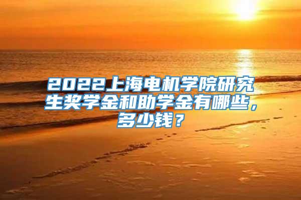 2022上海电机学院研究生奖学金和助学金有哪些，多少钱？