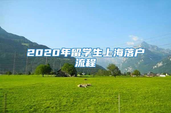 2020年留学生上海落户流程