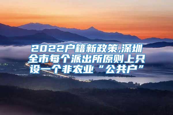 2022户籍新政策,深圳全市每个派出所原则上只设一个非农业“公共户”