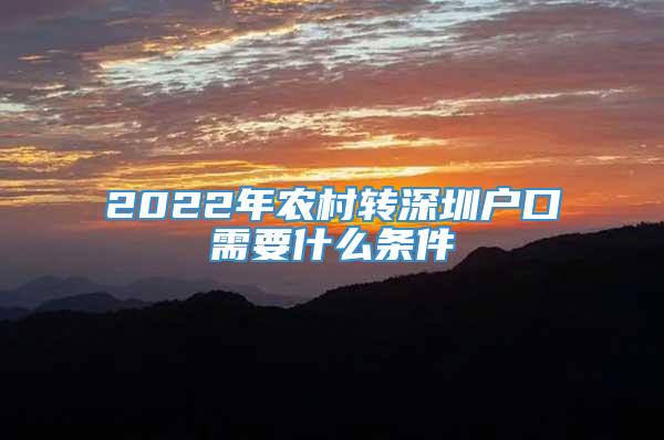 2022年农村转深圳户口需要什么条件