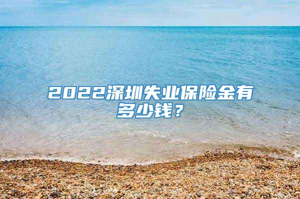 2022深圳失业保险金有多少钱？