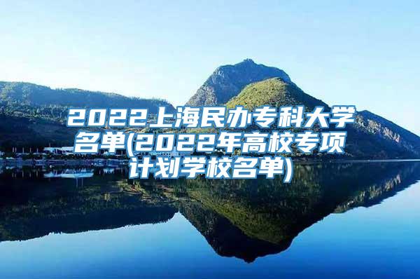2022上海民办专科大学名单(2022年高校专项计划学校名单)
