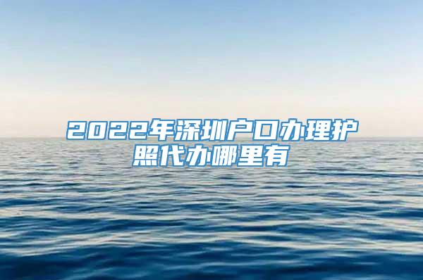 2022年深圳户口办理护照代办哪里有