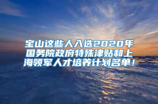 宝山这些人入选2020年国务院政府特殊津贴和上海领军人才培养计划名单！