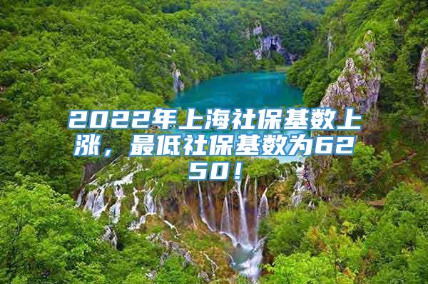 2022年上海社保基数上涨，最低社保基数为6250！