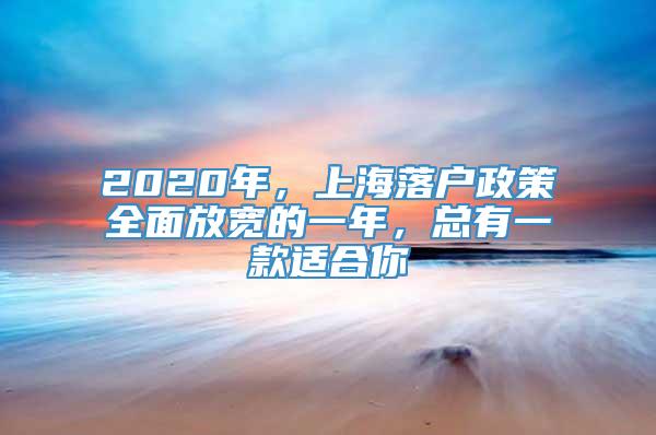 2020年，上海落户政策全面放宽的一年，总有一款适合你